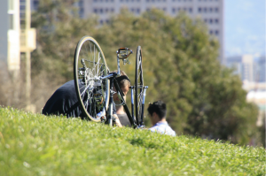 Bicycle Accident Injury Law Firm